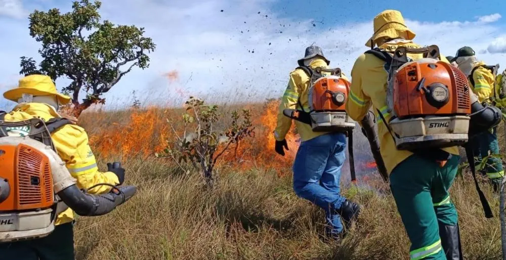 Naturatins combate incêndio florestal na APA Serra do Lajeado