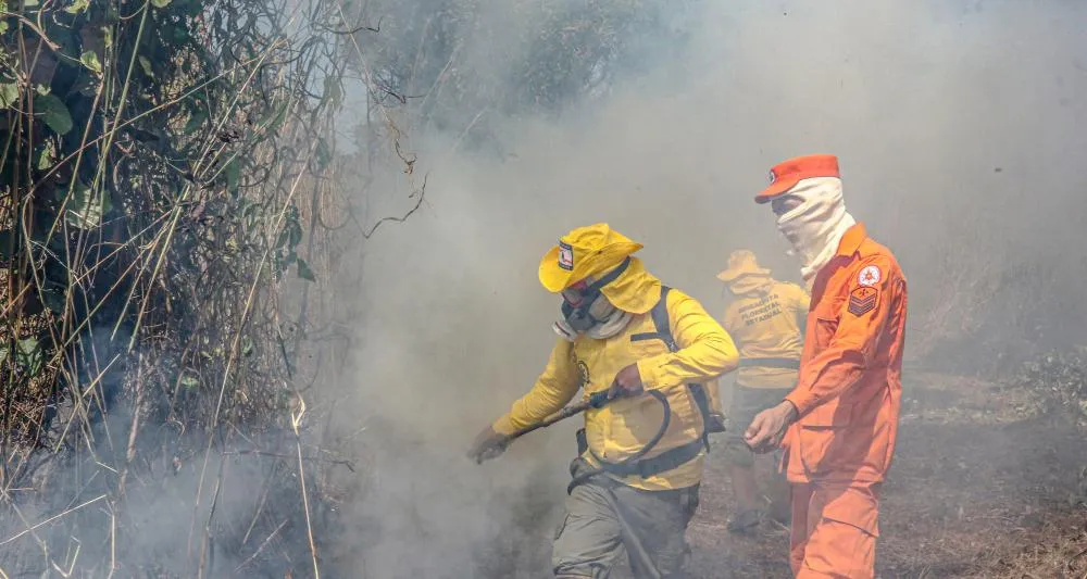 Mais de 1760 ocorrências de combate a incêndios florestais já foram atendidas pelo Corpo de Bombeiros Militar