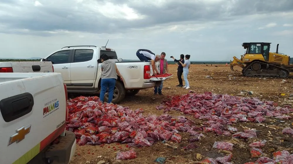 Vigilância Sanitária apreende mais de quatro toneladas de morangos impróprios para consumo em Palmas