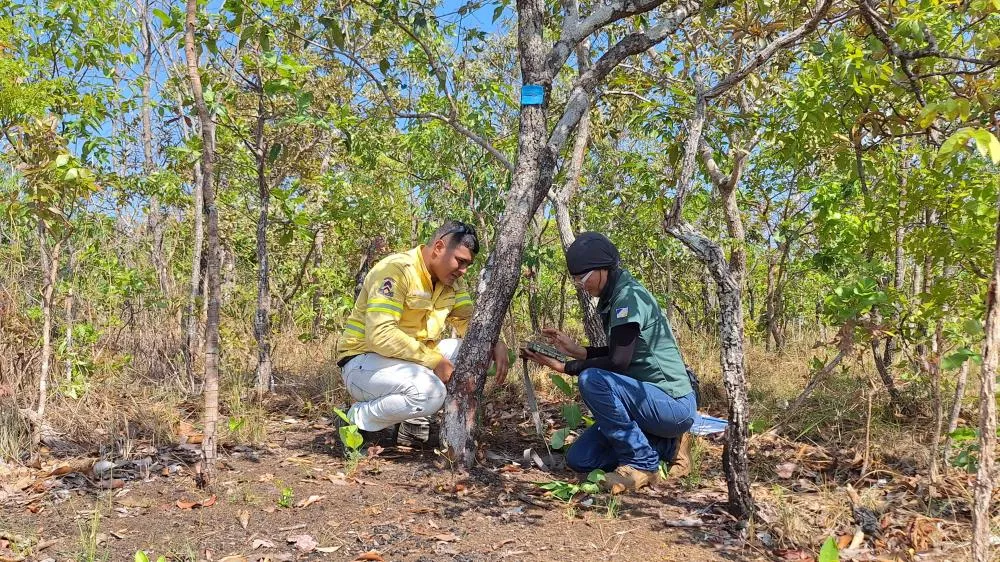 Foto: Divulgação Naturatins/Governo do Tocantins