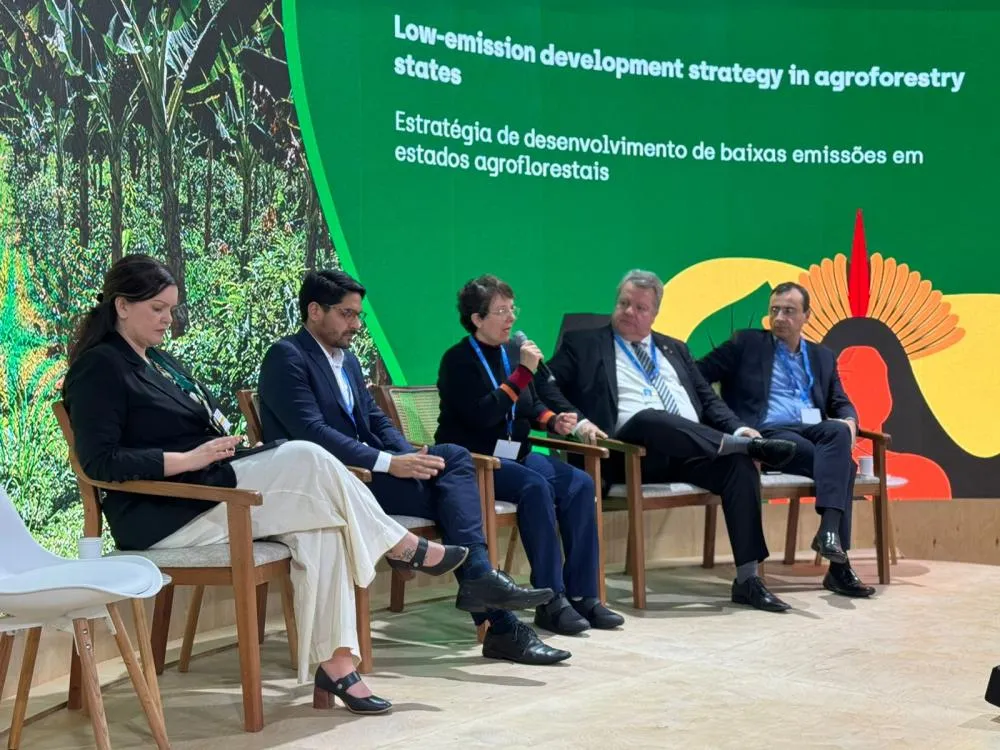 COP 29: Tocantins aposta no mercado de carbono e ações de REDD+
