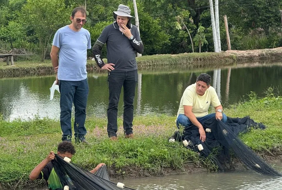 Adapec reforça ações de sanidade em pisciculturas produtoras de alevinos