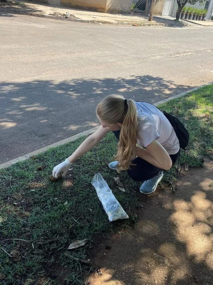 Pesquisa revela alta contaminação por parasitas em praças de Palmas
