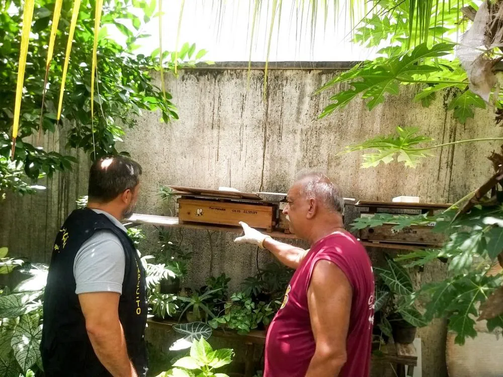 Governo do Tocantins reforça ações de vigilâncias e o cadastramento de meliponários urbanos