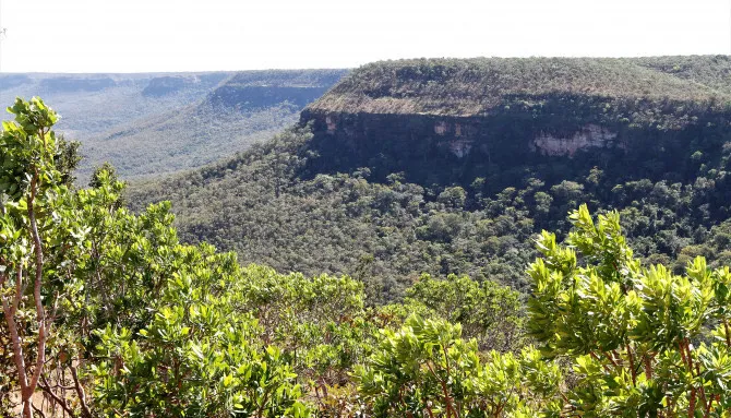 Desmatamento não autorizado tem queda de 28% este ano no estado, em relação ao período anterior, após implantação de Grupo de Trabalho, pelo Governo do Tocantins