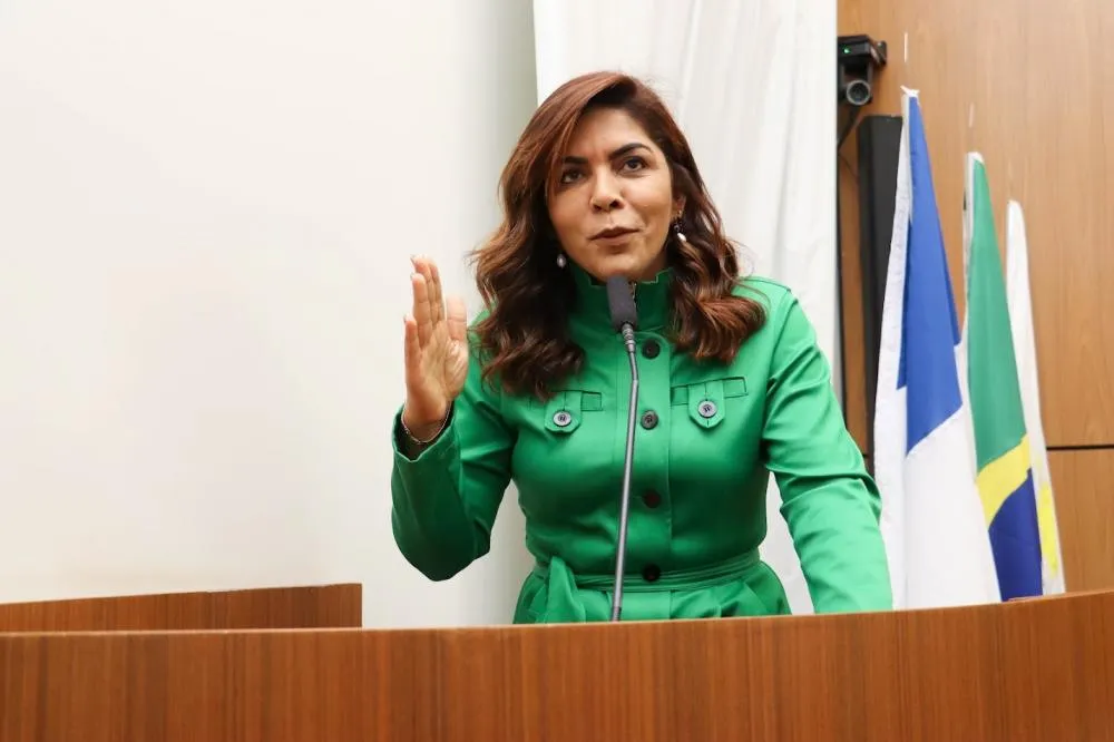 Delma Freitas elabora PL que visa a criação de diretrizes para o Turismo Educativo em Palmas