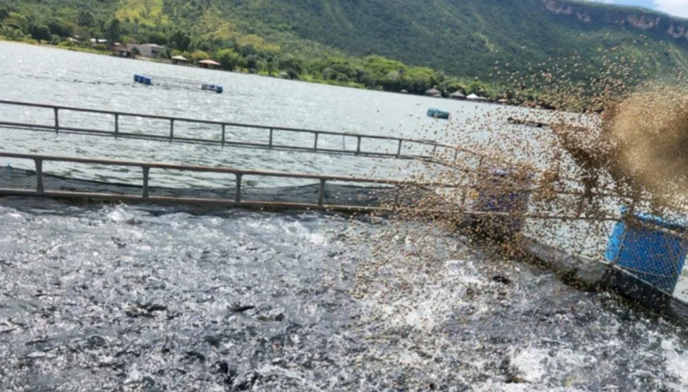 Produção de pescados no Tocantins cresce e estado alcança 17ª posição em ranking nacional 