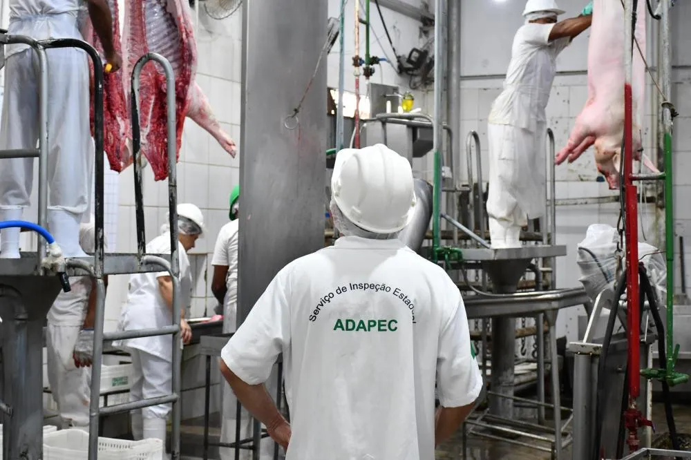 Tocantins habilita primeiro frigorífico de abate de suínos com registro no Serviço de Inspeção Estadual