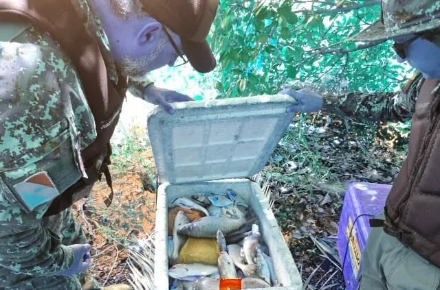 Naturatins recolhem mais de quatro mil metros de redes de pesca nas regiões Central e Norte do Tocantins