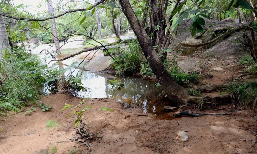 MedhTO promove 2º módulo de curso com foco na água e nas unidades de conservação em Palmas