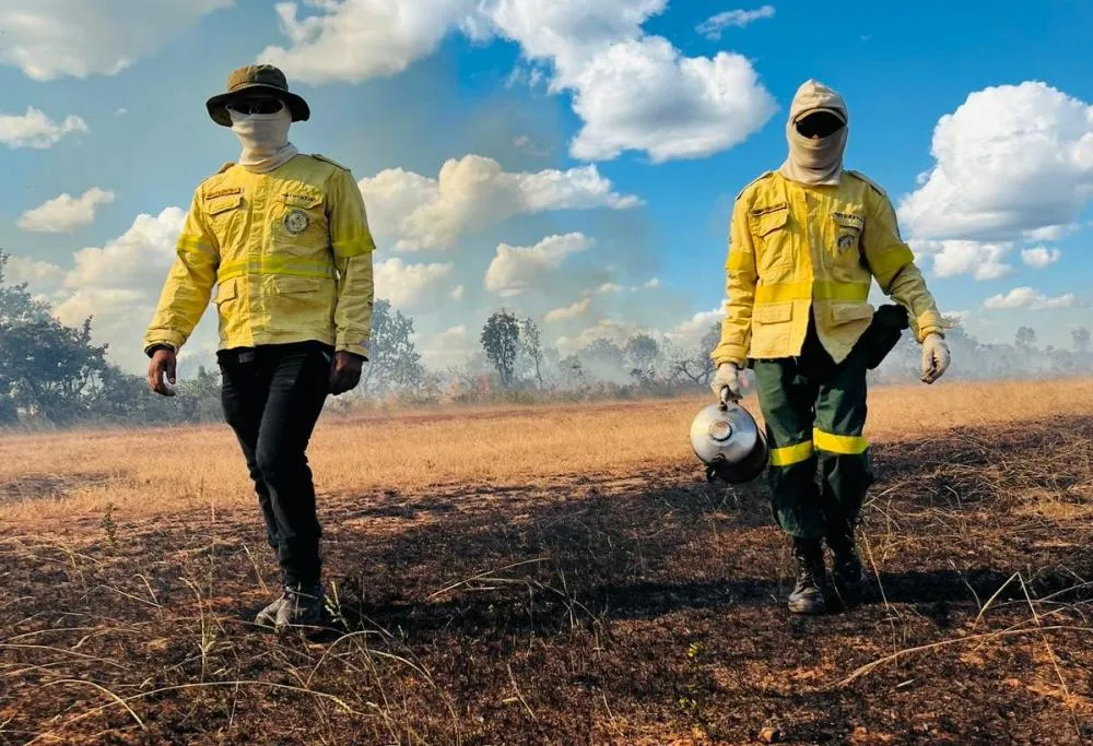Unidades de Conservação estaduais iniciam temporada de queimas prescritas