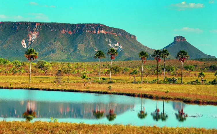 Governo do Tocantins Lançará e apresentará o CIGMA - Centro de Inteligência Geográfica em Gestão do Meio Ambiente