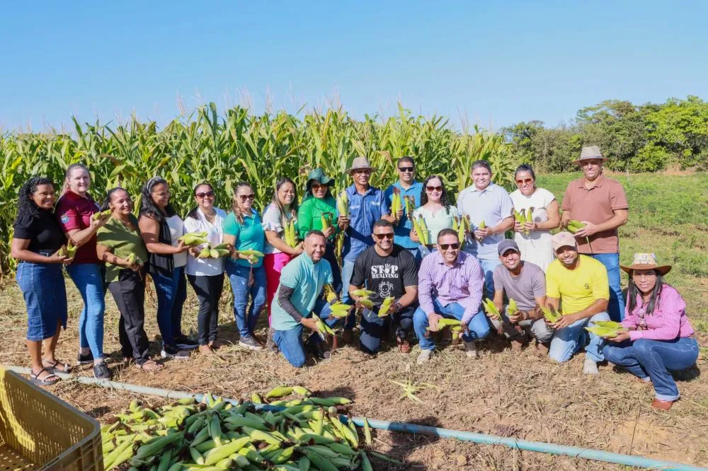 Colheita na Fazendinha é doada para escolas municipais de Palmas