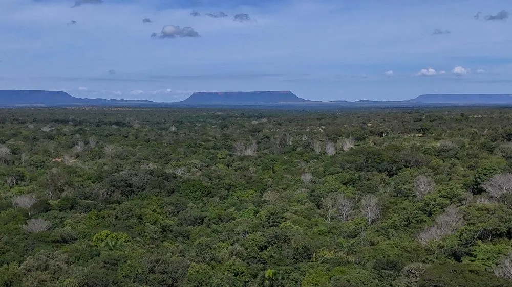 Novo boletim do CIGMA distingue que 70% do desmatamento no Tocantins é legal e 30% ilegal, com uma redução de 23,5% nos primeiros meses de 2025
