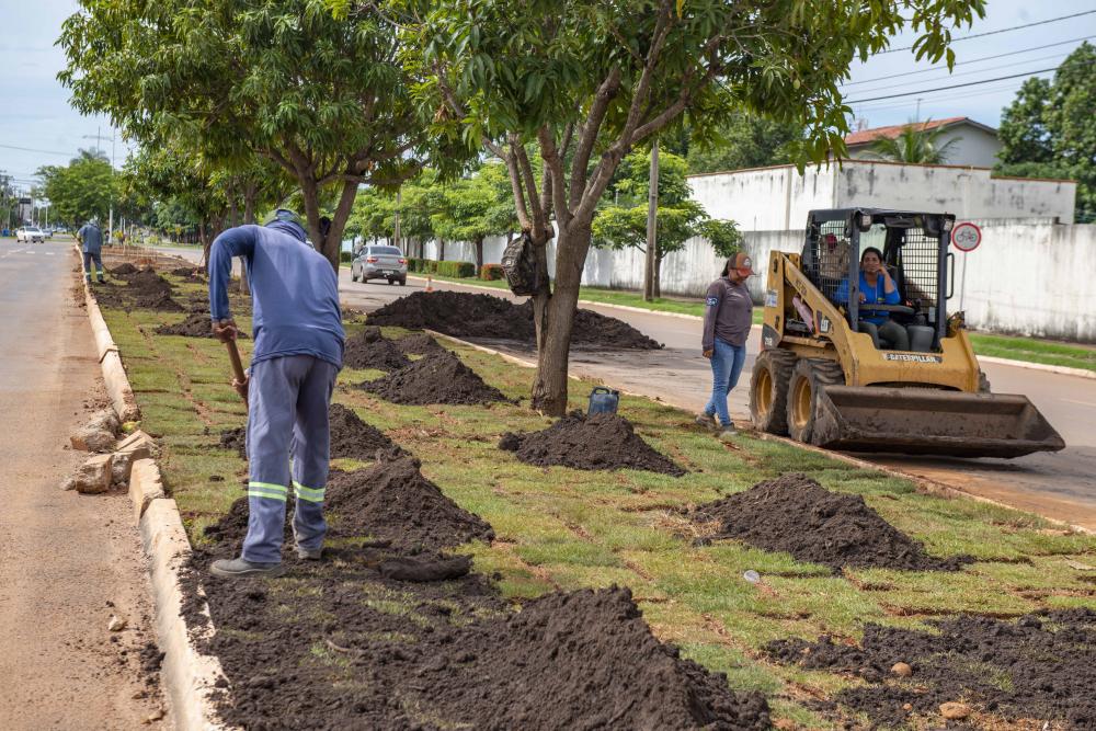Canteiros centrais da Av. NS-04 recebem grama e mudas nativas nesta quarta, 18