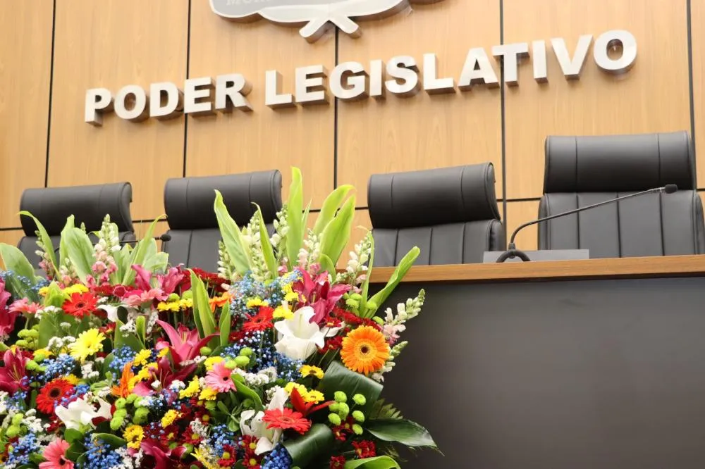 Câmara de Palmas retoma atividades na terça-feira, 5 de agosto