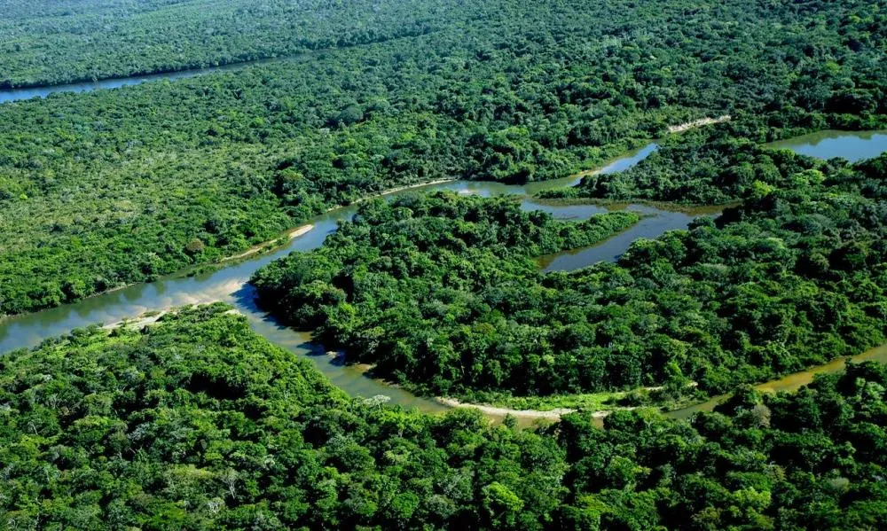 Governo do Tocantins realiza ações preventivas contra febre aftosa e Influenza Aviária na Ilha do Bananal