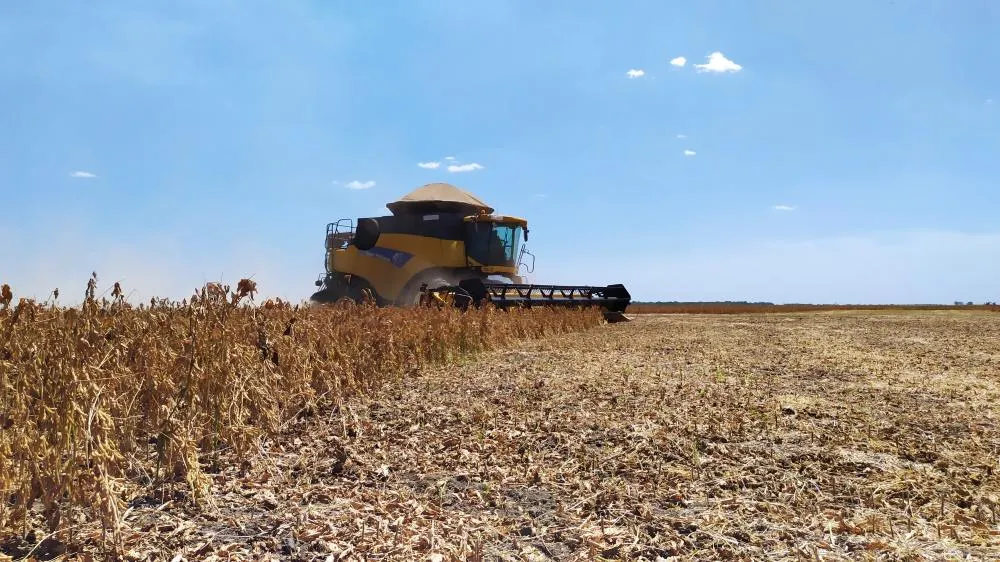 Prazo para colheita de soja nas Planícies Tropicais encerra neste sábado, 20 de setembro