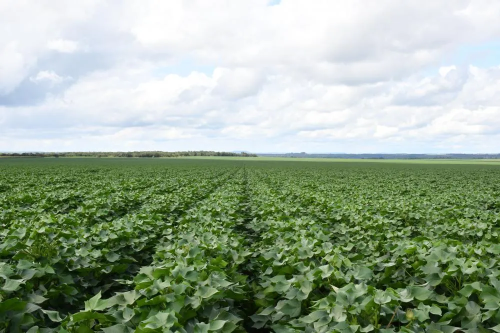 Foto: Majuh Souza / Governo do Tocantins