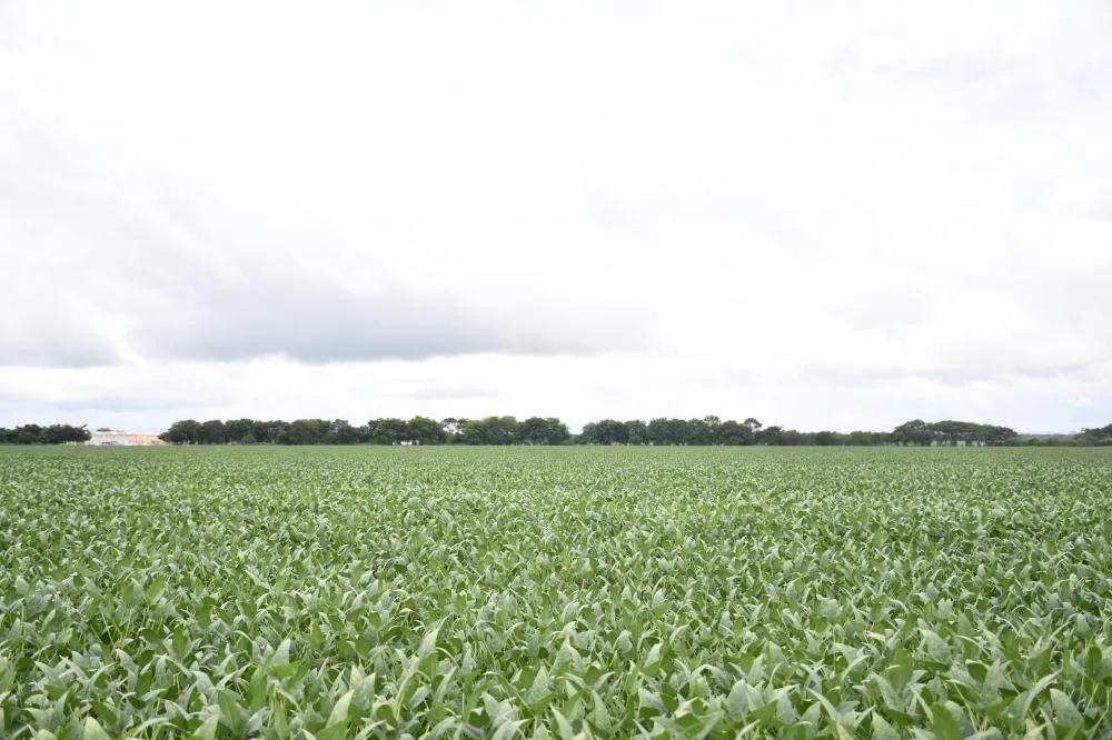 Foto: Majuh Souza / Governo do Tocantins 