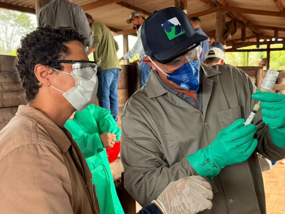 Adapec capacita produtores de Ananás e Santa Tereza em vacinação contra brucelose