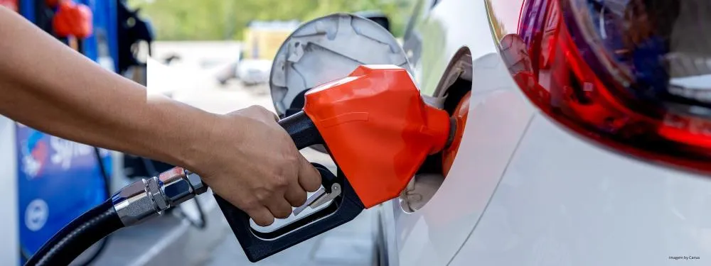 Foto: Divulgação MPTO