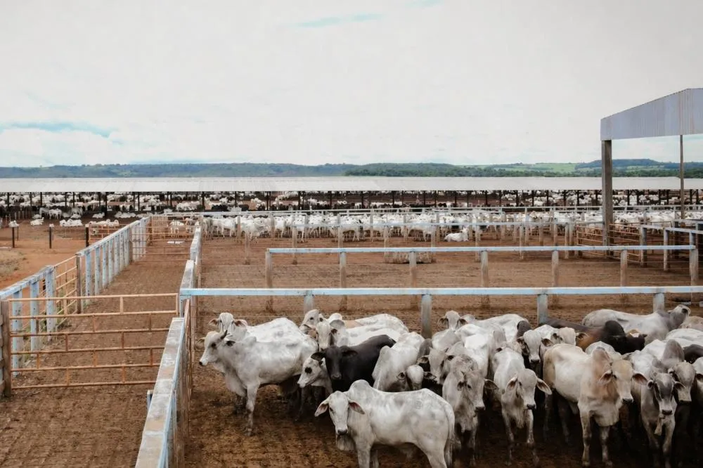 Foto: Majuh Souza / Governo do Tocantins 