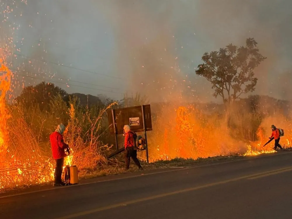 Foto: Divulgação 
