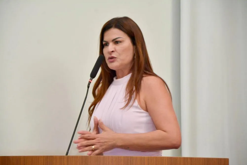 Karina Café propõe política municipal de prevenção e enfrentamento à violência contra a pessoa idosa em Palmas