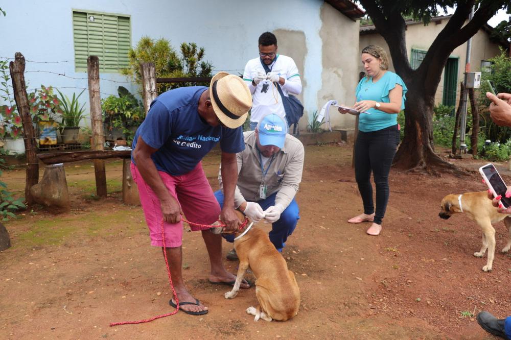 Prefeitura de Porto Nacional inicia 2ª etapa do encoleiramento de cães contra a Leishmaniose