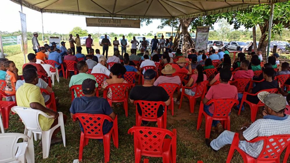 Dia de Campo em Combinado debate sistema de integração milho e pastagem